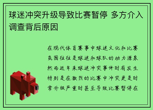 球迷冲突升级导致比赛暂停 多方介入调查背后原因
