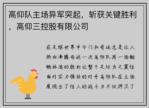 高仰队主场异军突起，斩获关键胜利，高仰三控股有限公司