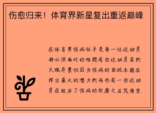 伤愈归来！体育界新星复出重返巅峰